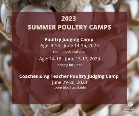 Poultry Judging Camp, Ages 14-18, June 15-17
